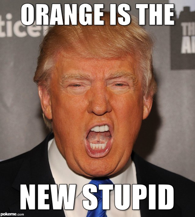 trump-orange-is-the-newstupid